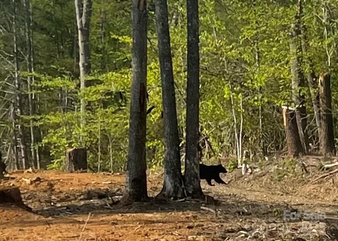 30 Creek Bend Lane Asheville NC 28805