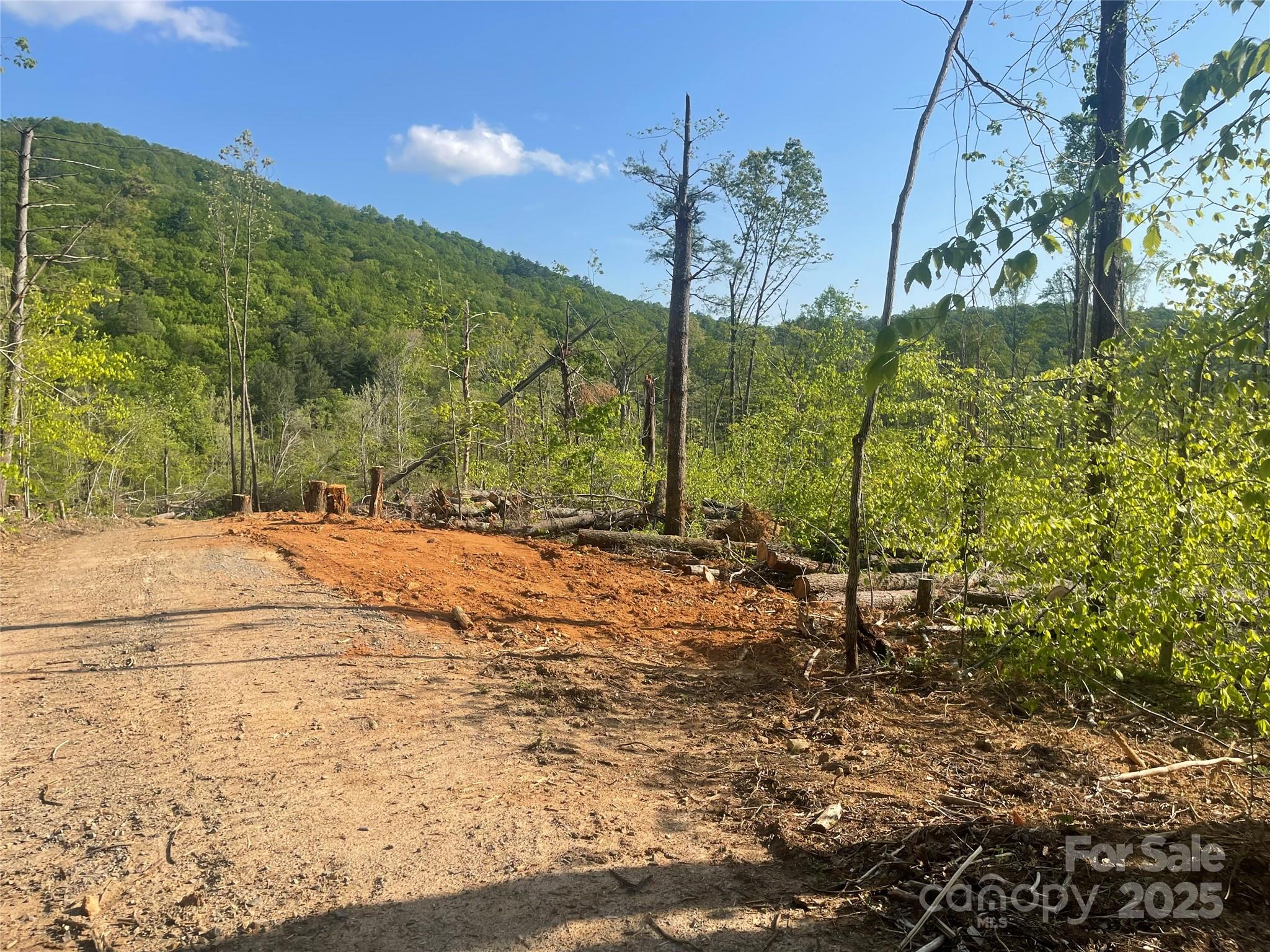 30 Creek Bend Lane Asheville NC 28805