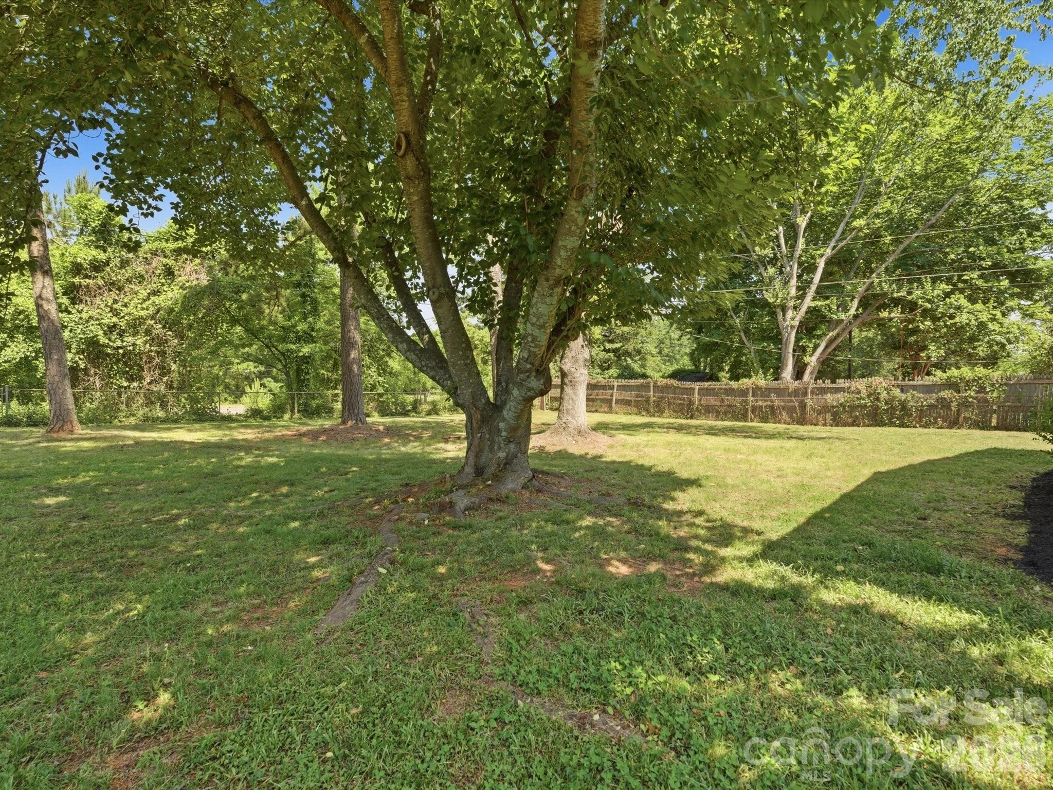 3633 Rosehaven Drive Charlotte NC 28205
