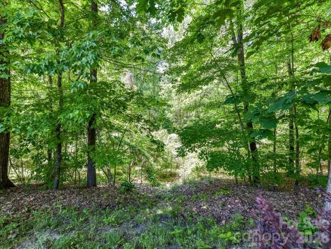 1548 Afton Way Fort Mill SC 29708
