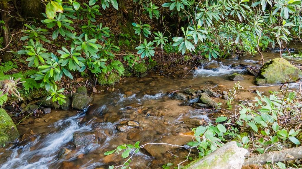 715 Anderson Creek Road Franklin NC 28734