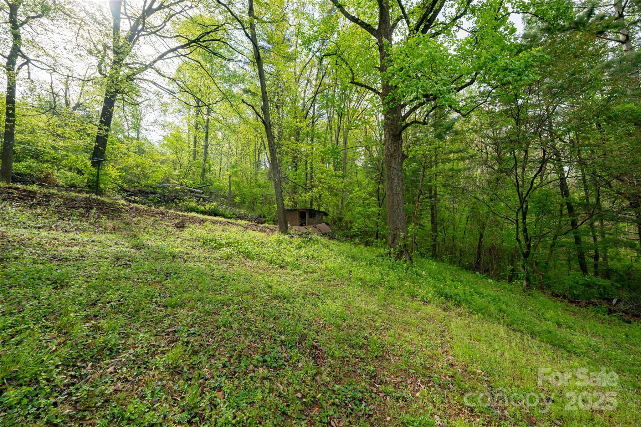 25 Coal Creek Lane Weaverville NC 28787