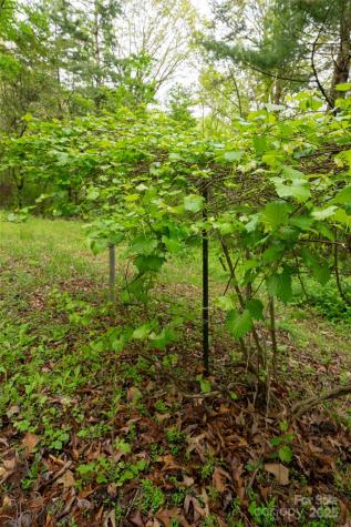 25 Coal Creek Lane Weaverville NC 28787