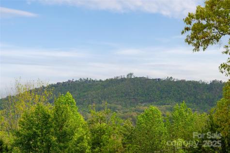 25 Coal Creek Lane Weaverville NC 28787