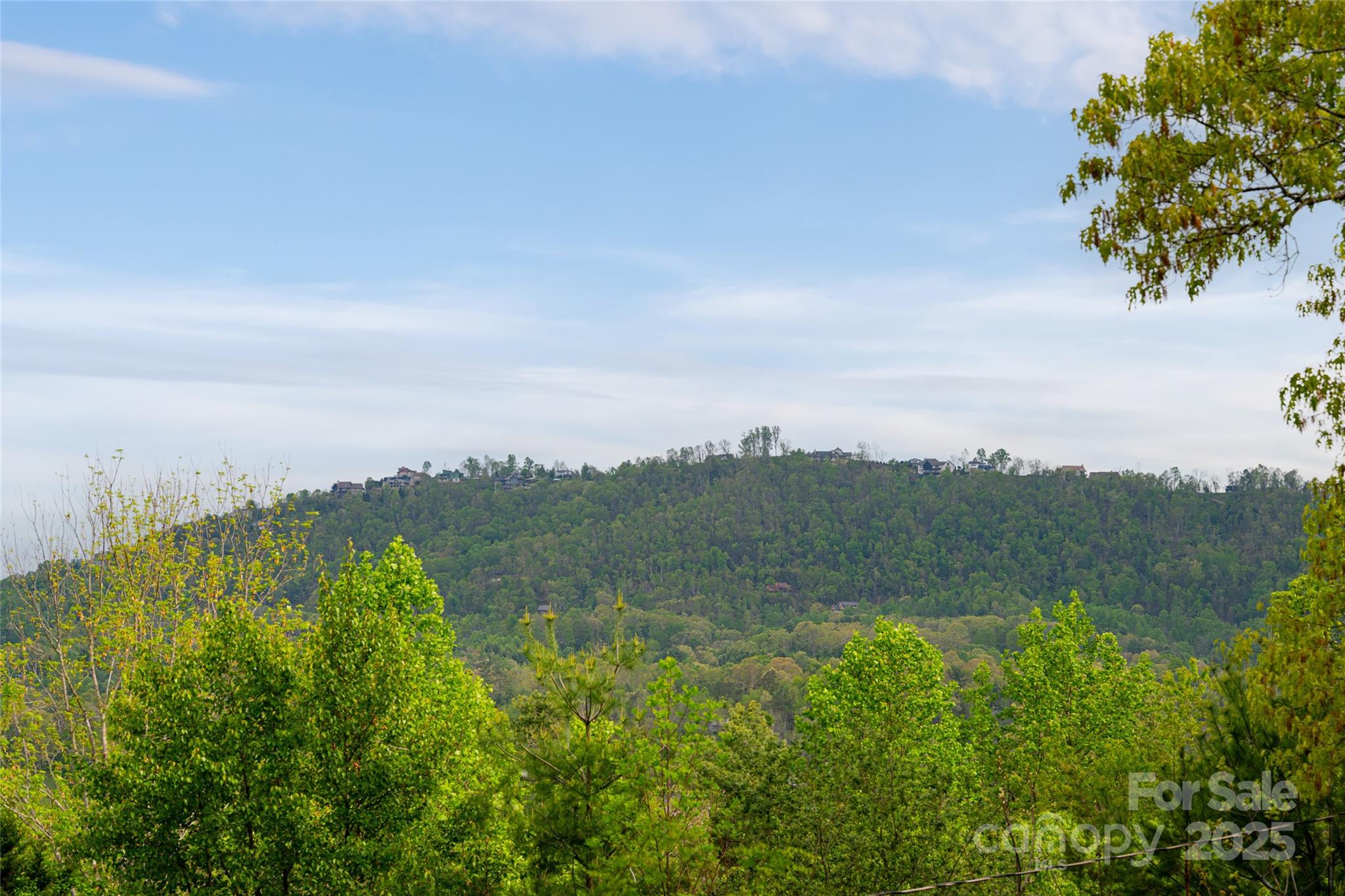 25 Coal Creek Lane Weaverville NC 28787