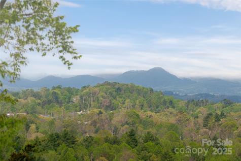 25 Coal Creek Lane Weaverville NC 28787