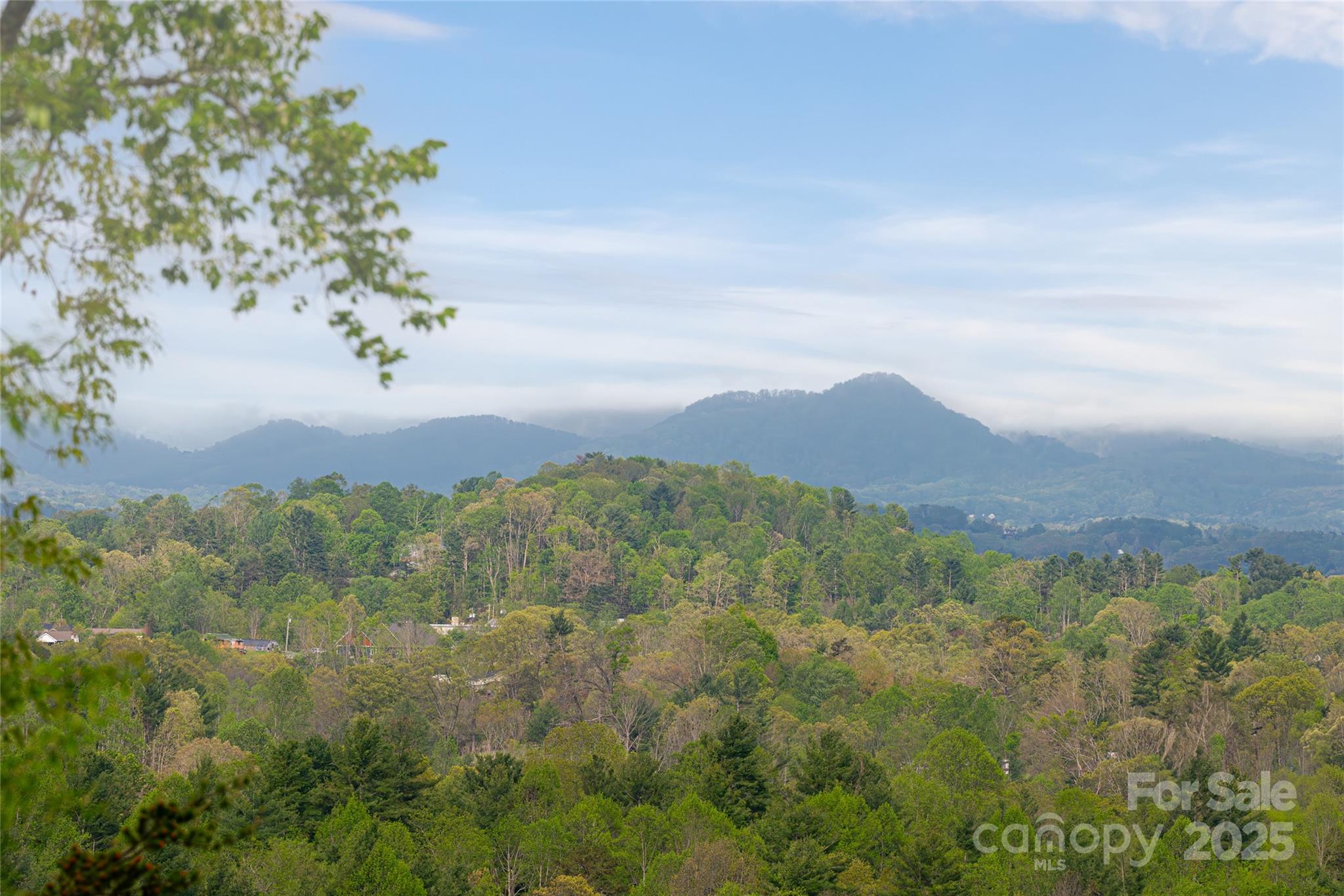 25 Coal Creek Lane Weaverville NC 28787