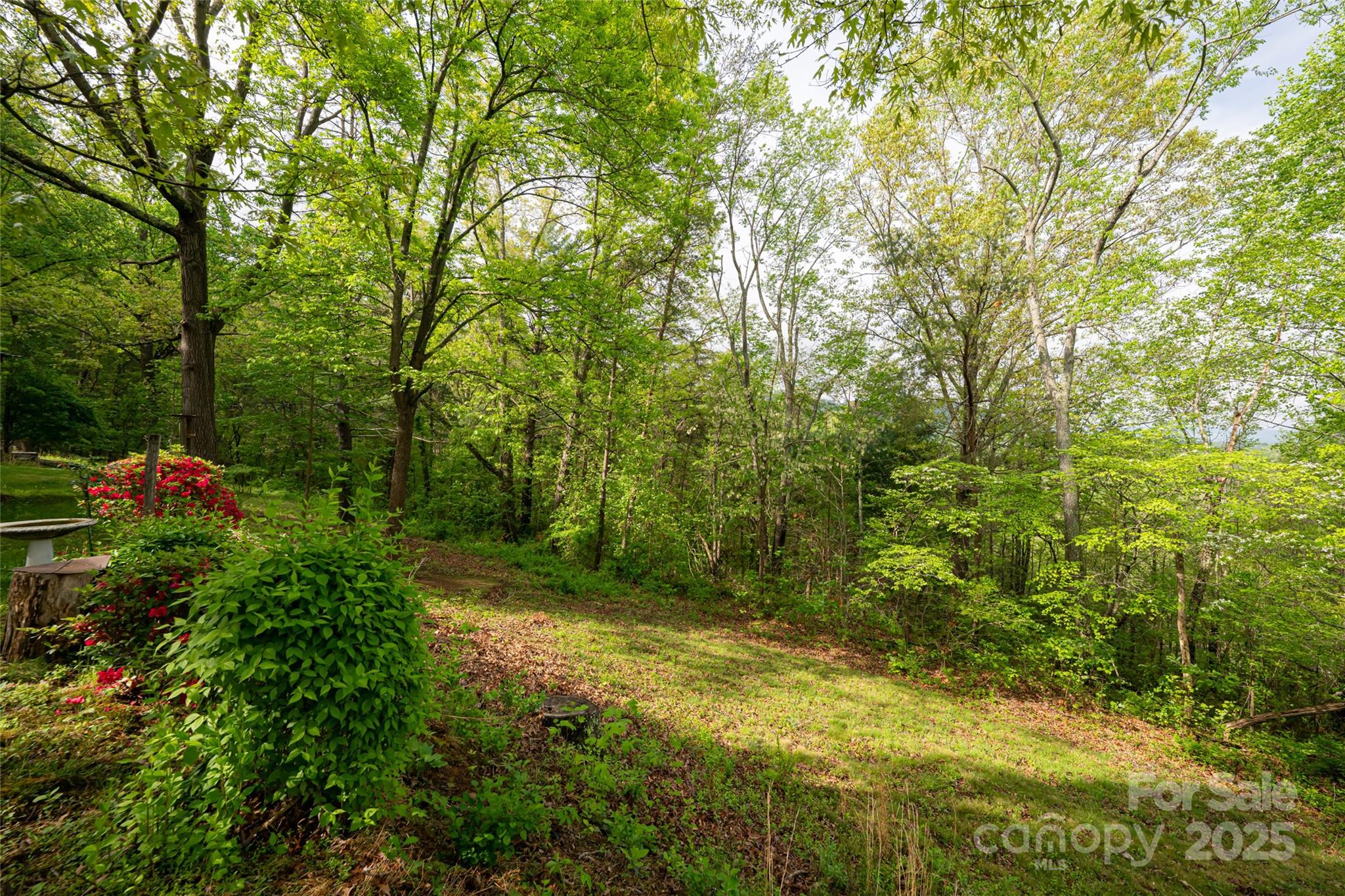 25 Coal Creek Lane Weaverville NC 28787