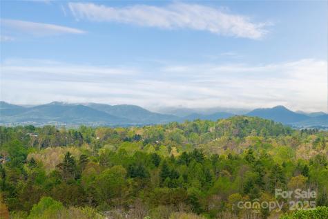 25 Coal Creek Lane Weaverville NC 28787