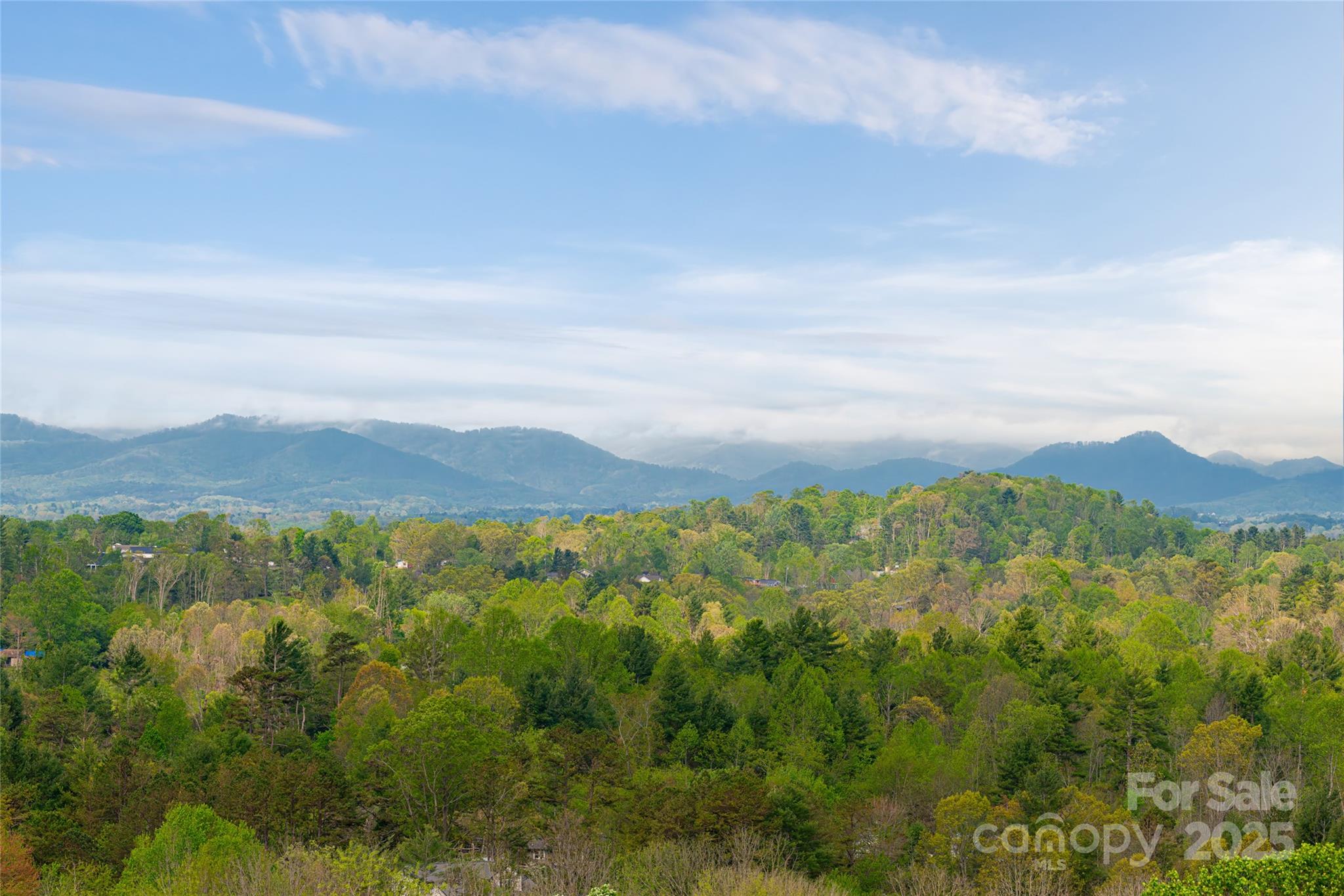 25 Coal Creek Lane Weaverville NC 28787