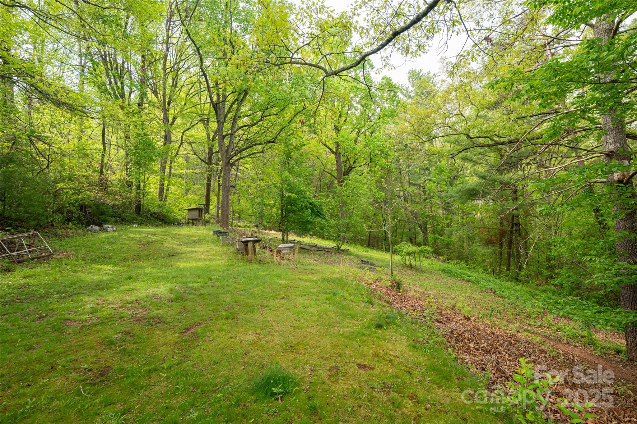 25 Coal Creek Lane Weaverville NC 28787