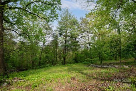 25 Coal Creek Lane Weaverville NC 28787