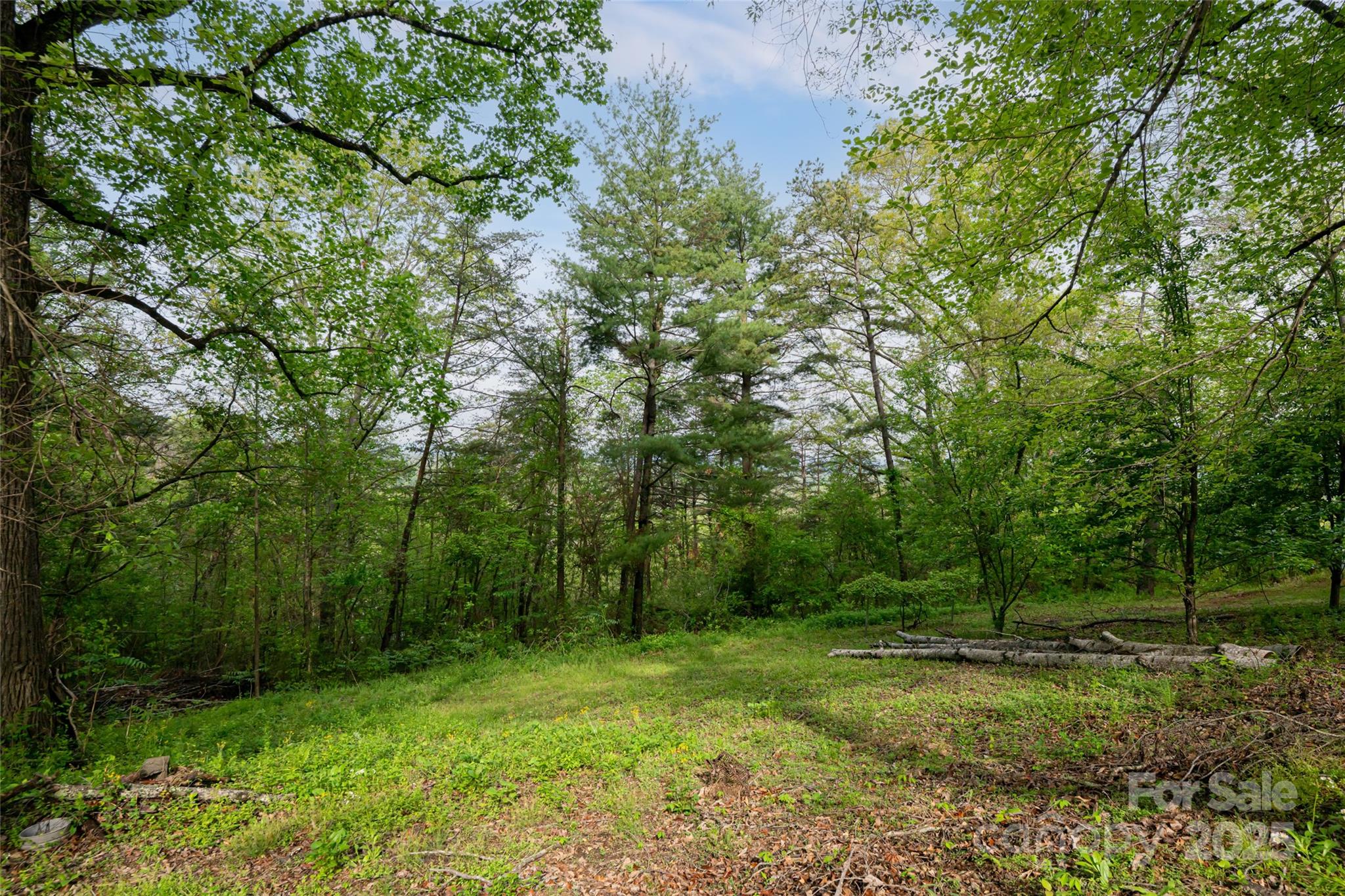 25 Coal Creek Lane Weaverville NC 28787
