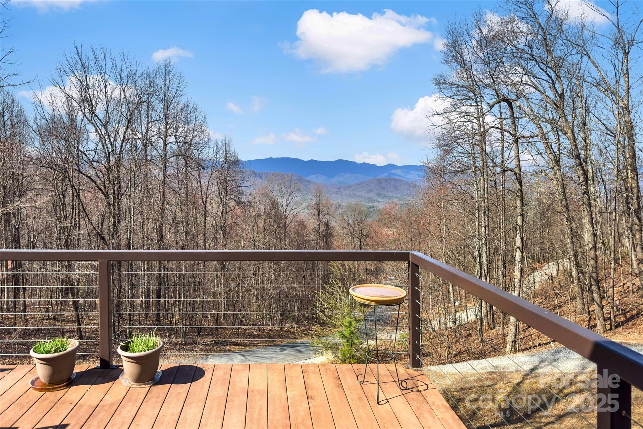 1010 Mitchell View Drive Old Fort NC 28762