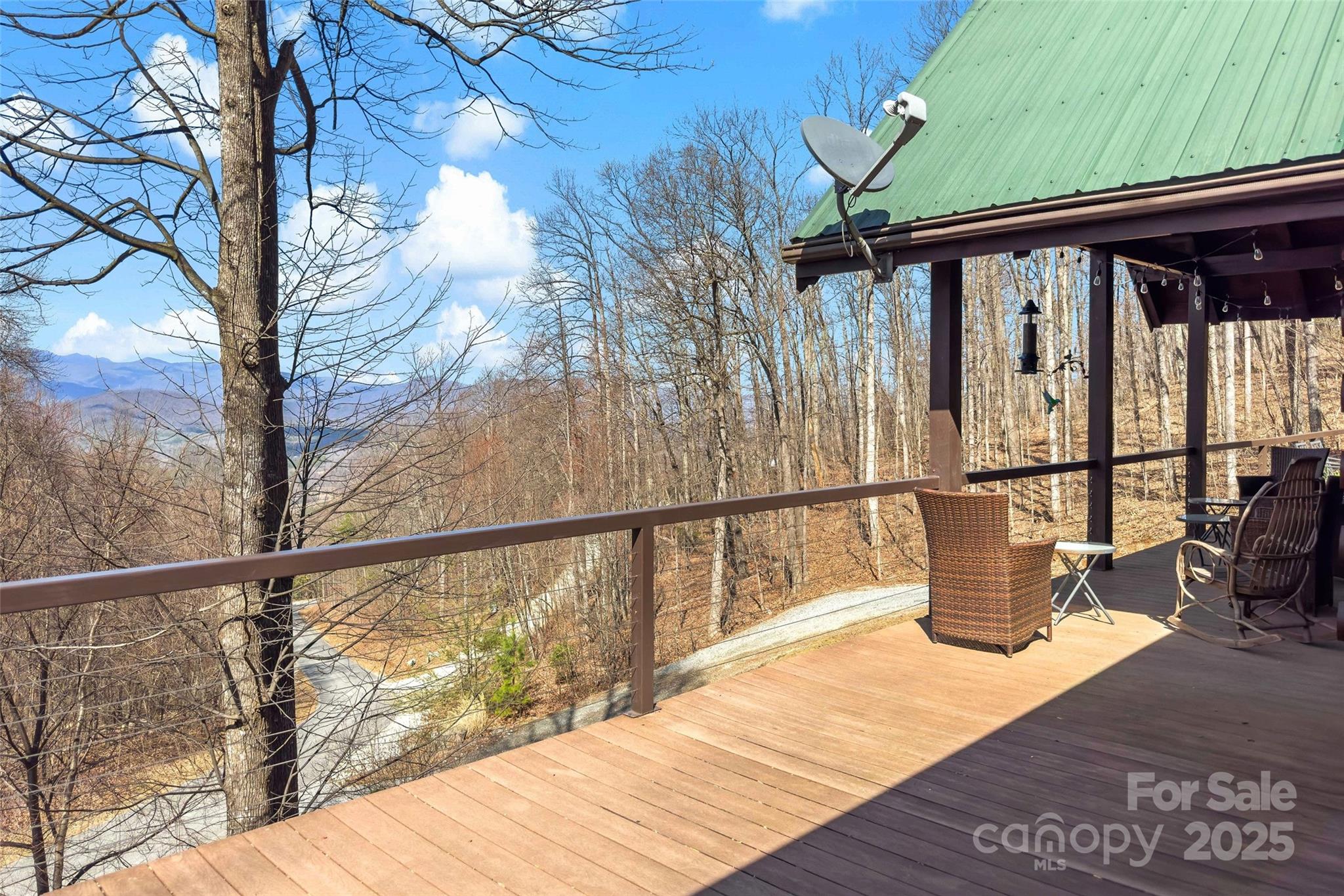 1010 Mitchell View Drive Old Fort NC 28762