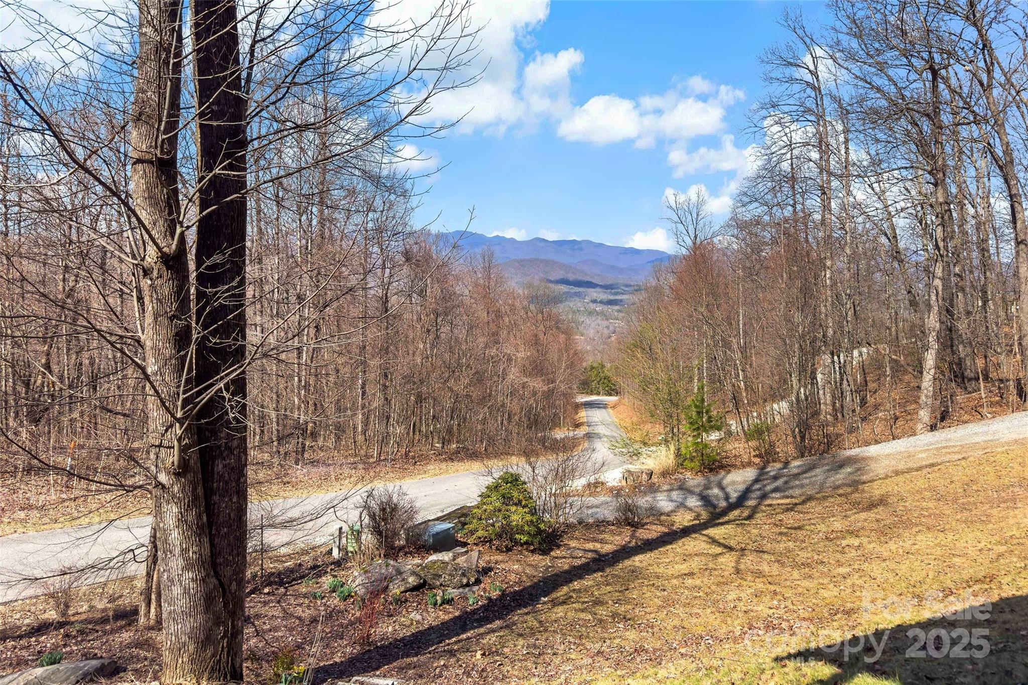 1010 Mitchell View Drive Old Fort NC 28762