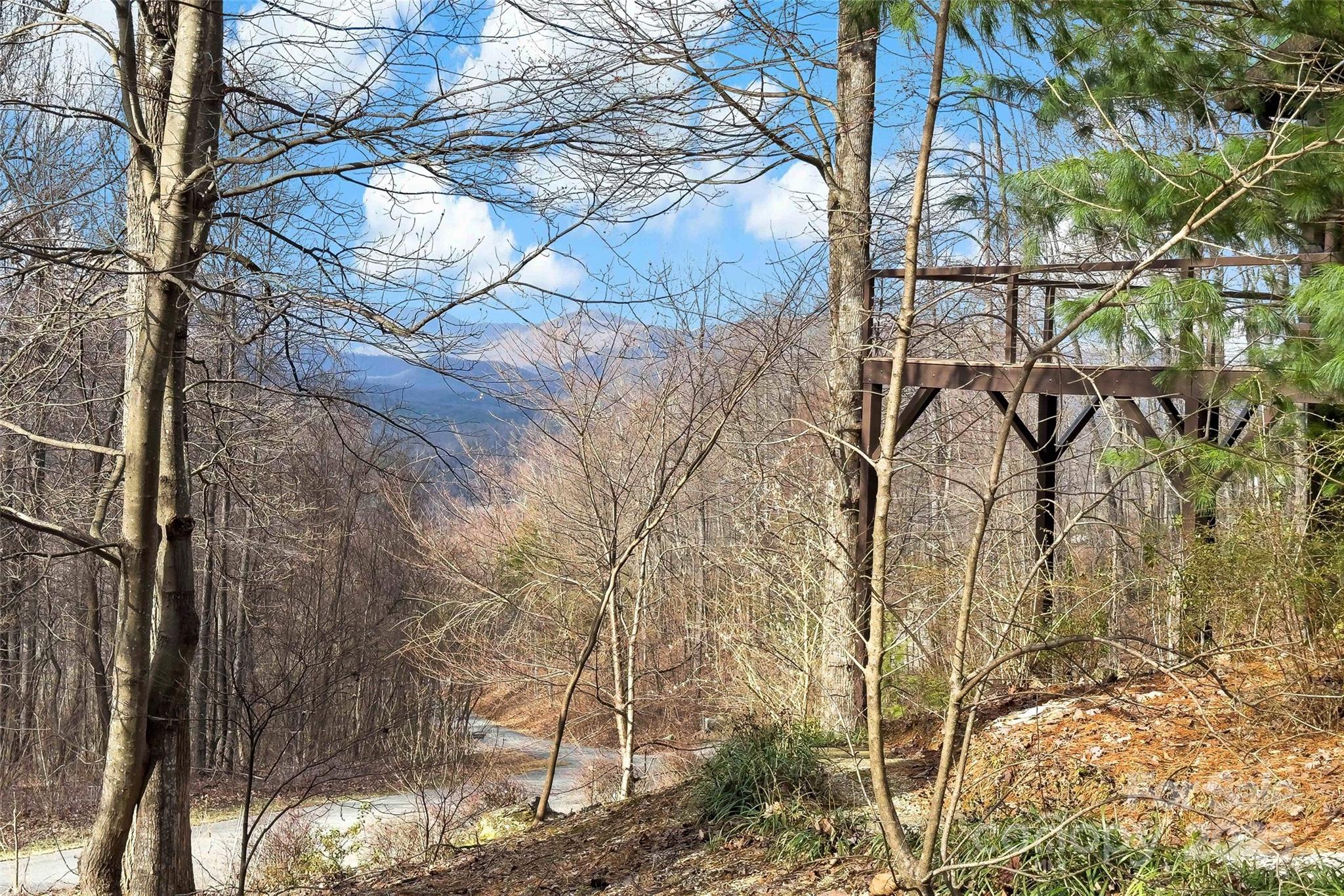 1010 Mitchell View Drive Old Fort NC 28762