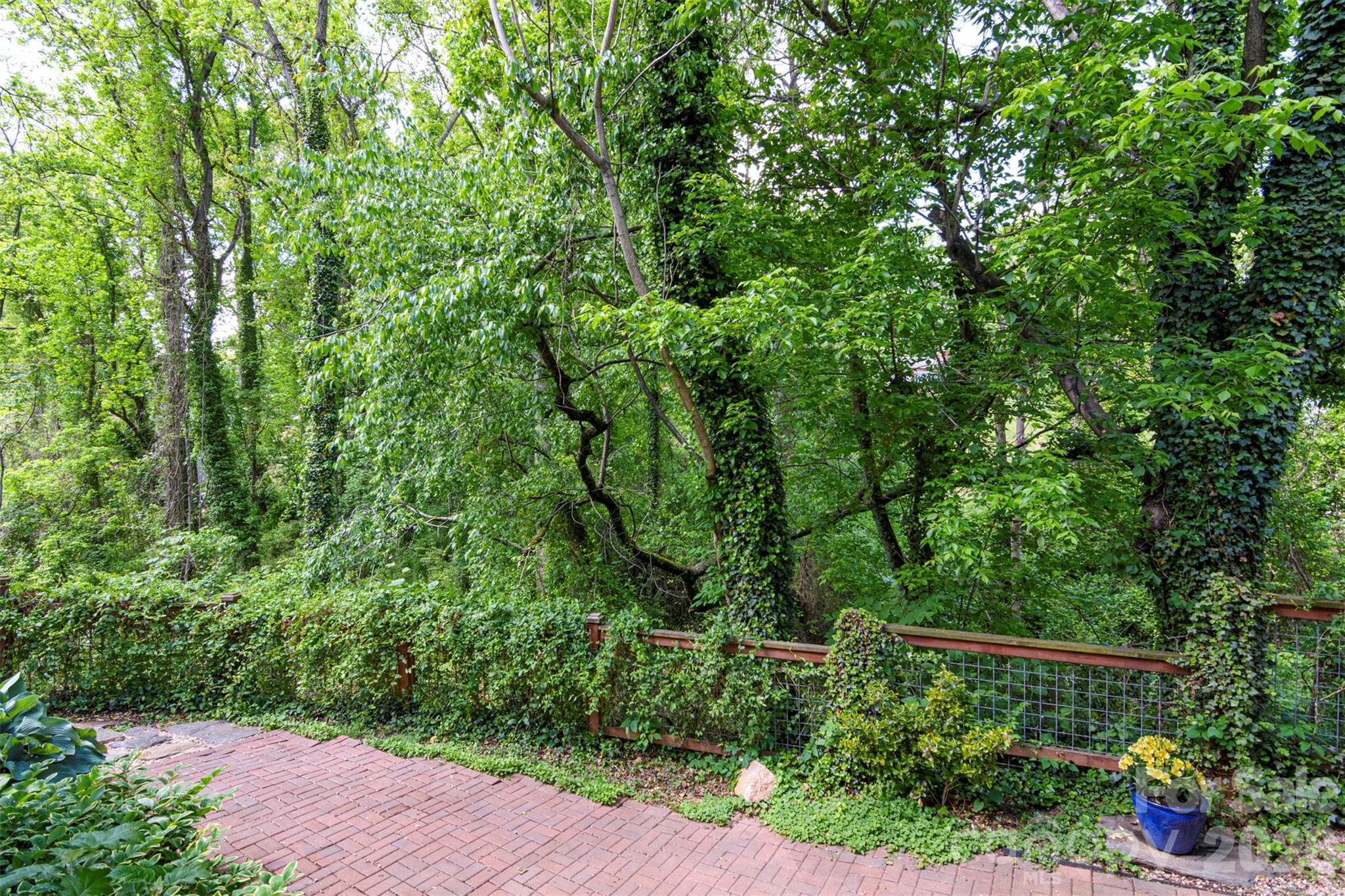 149 State Street Asheville NC 28806