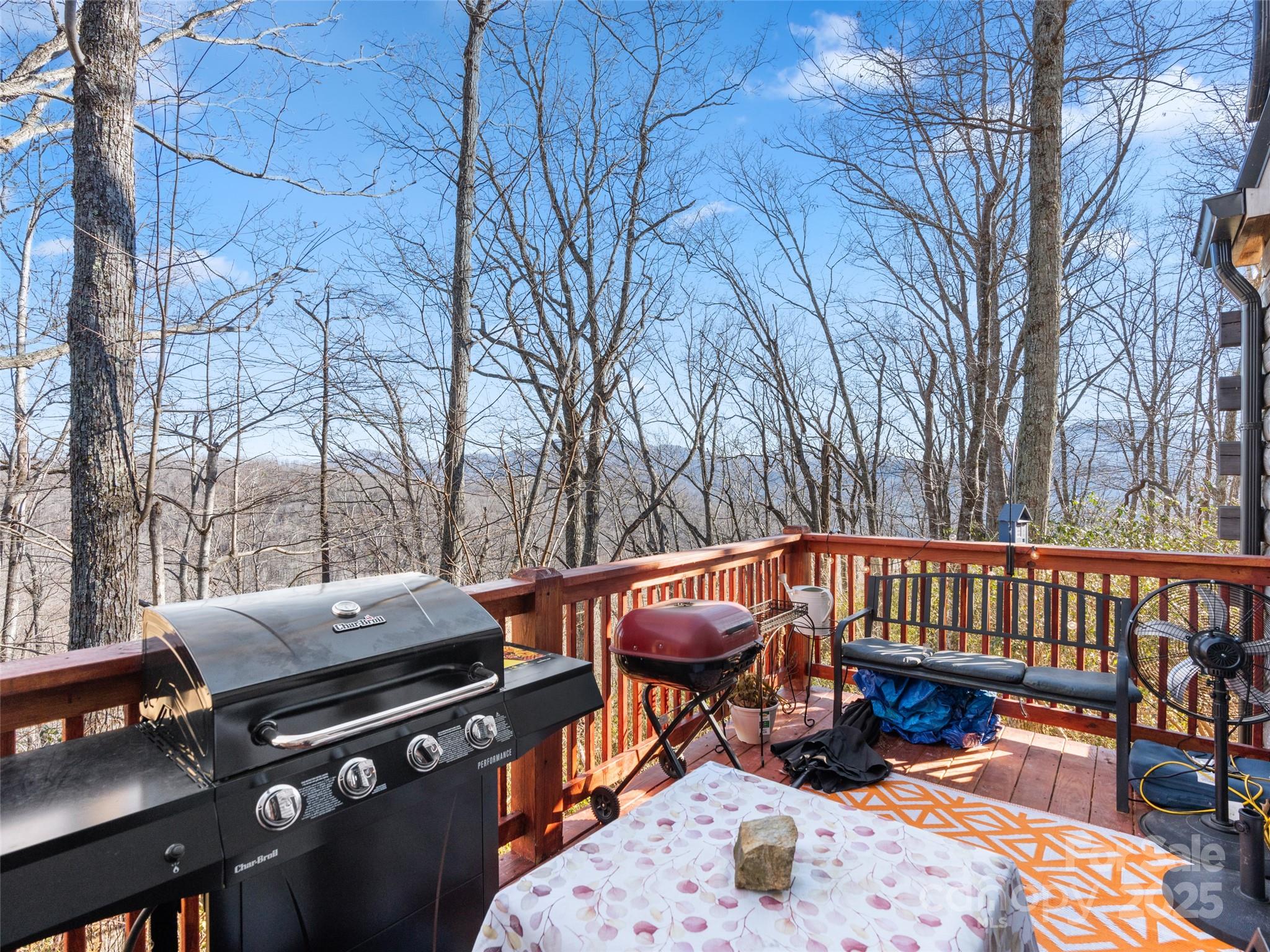 252 Idylwild Lane Black Mountain NC 28711