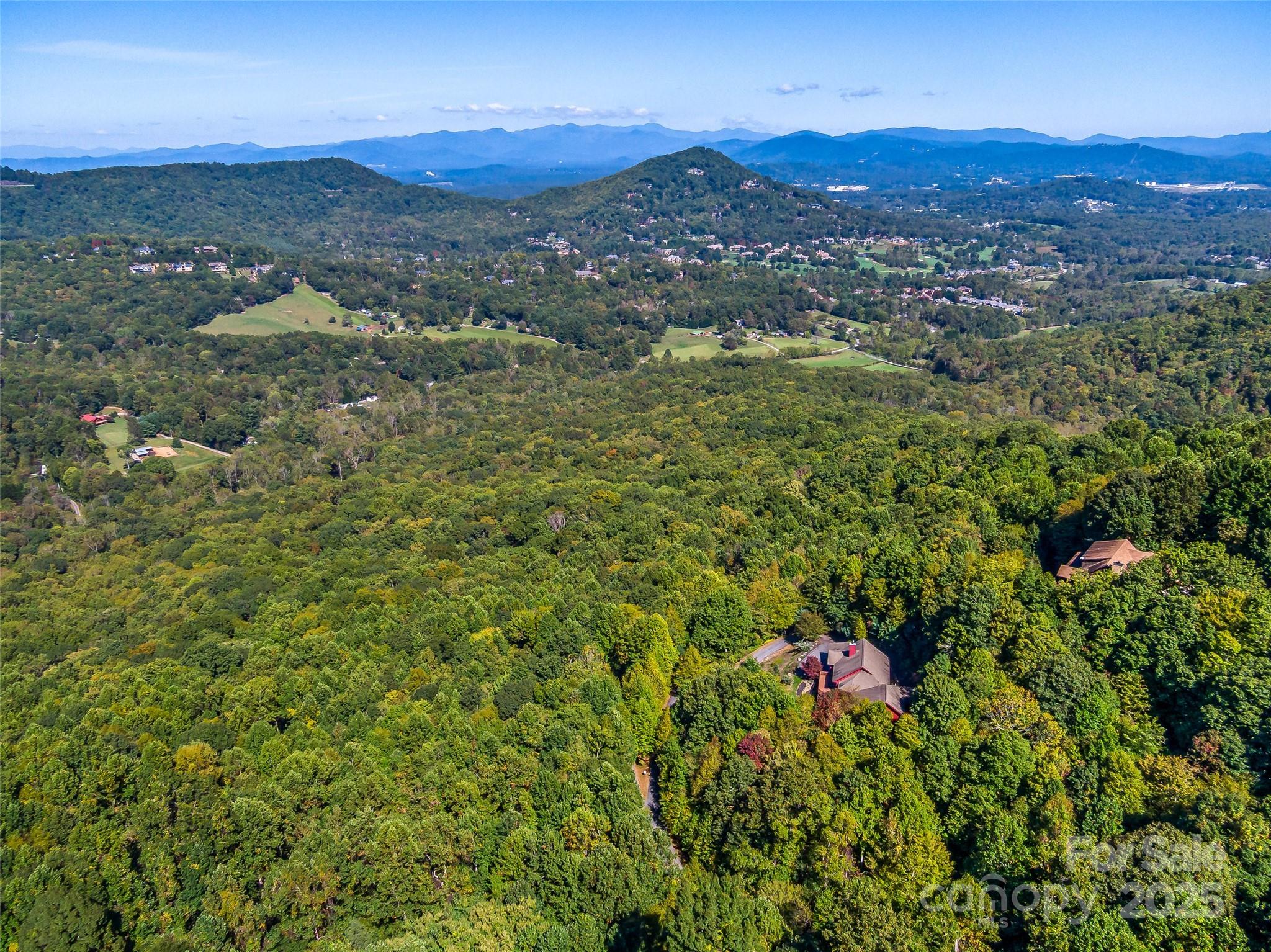 1341 Double Knob Drive Arden NC 28704