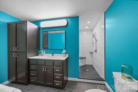 263 Morgan Branch Road Leicester NC 28748