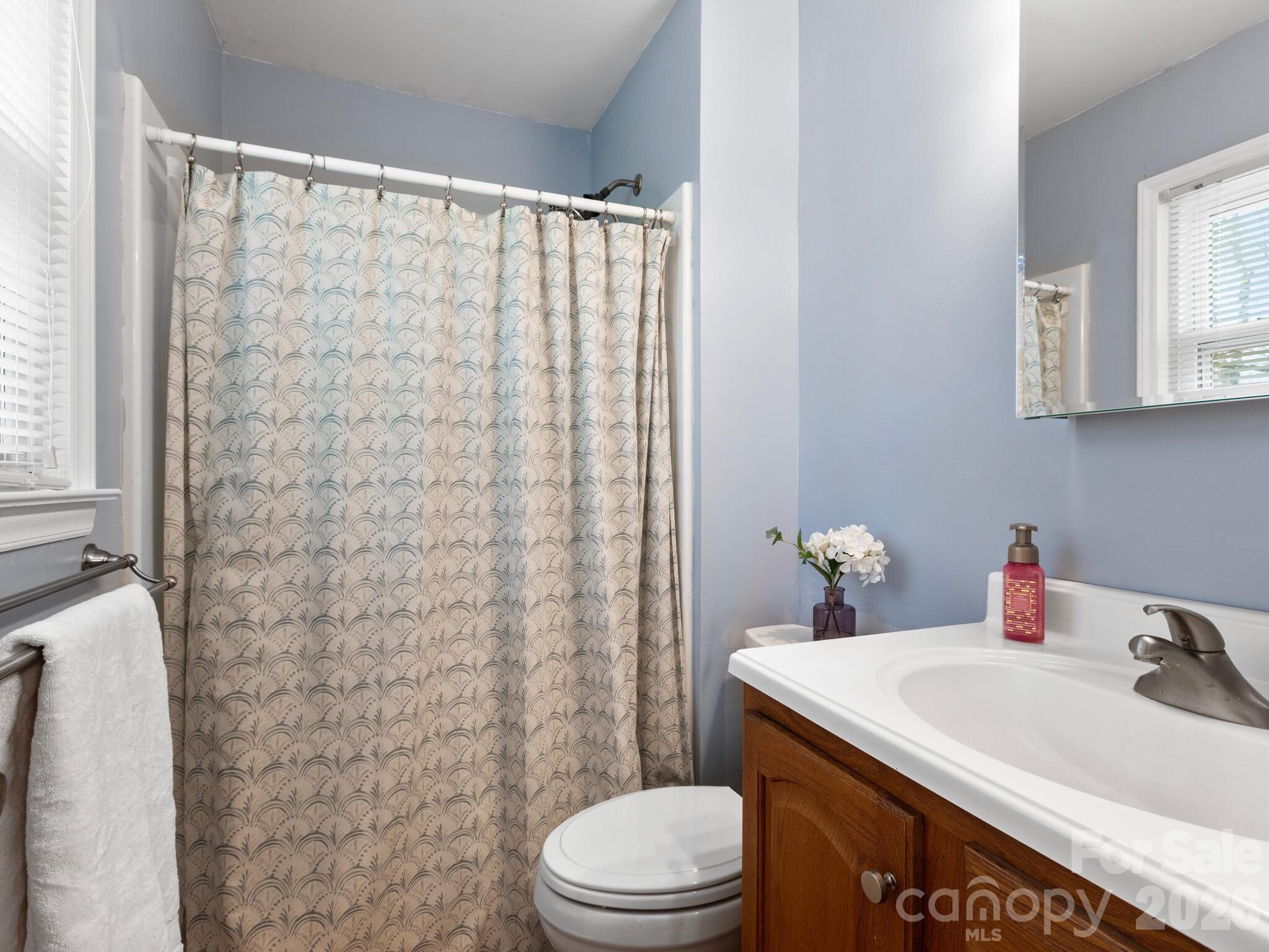 1 Laurel Forest Drive Horse Shoe NC 28742