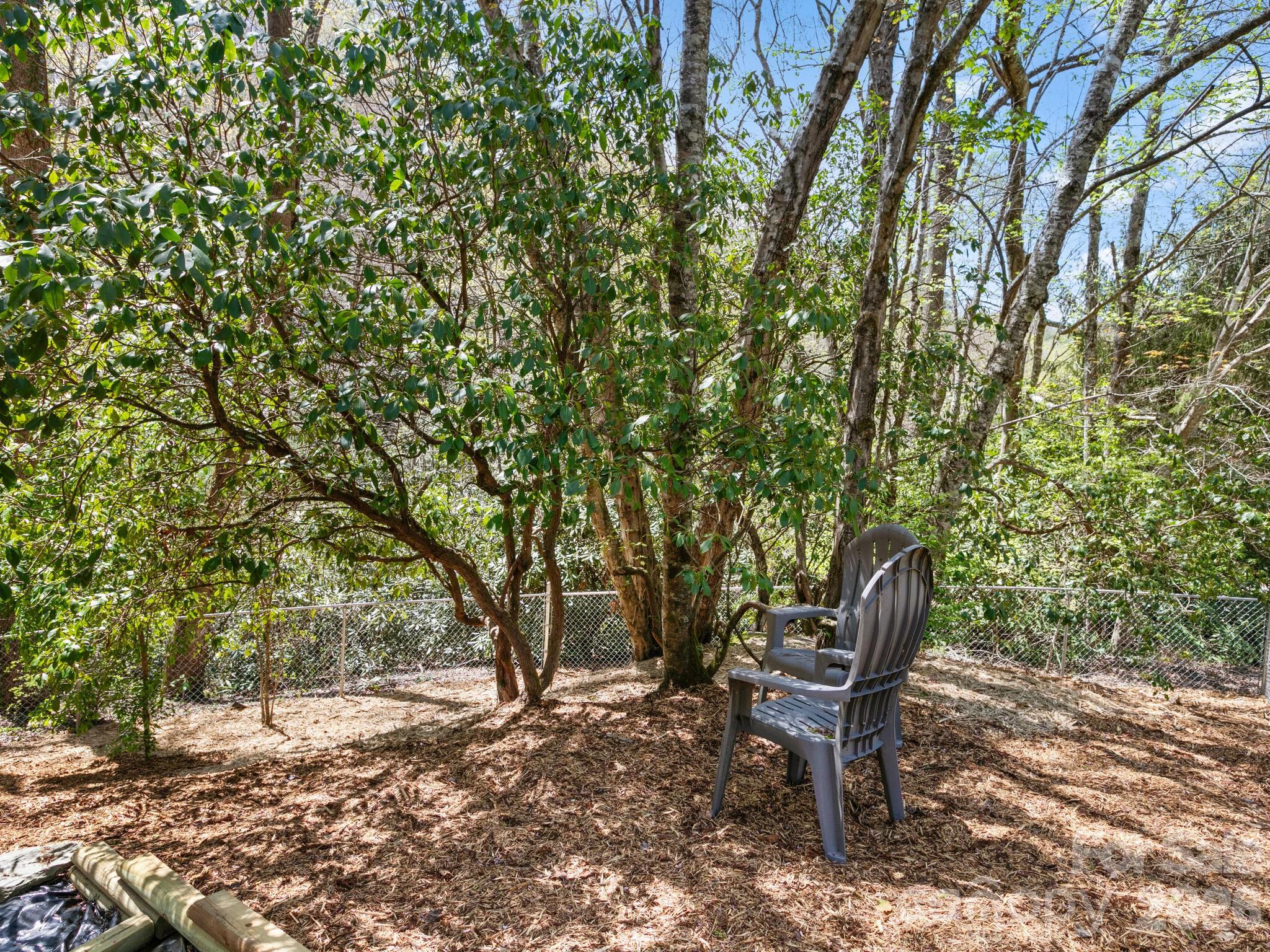 1 Laurel Forest Drive Horse Shoe NC 28742