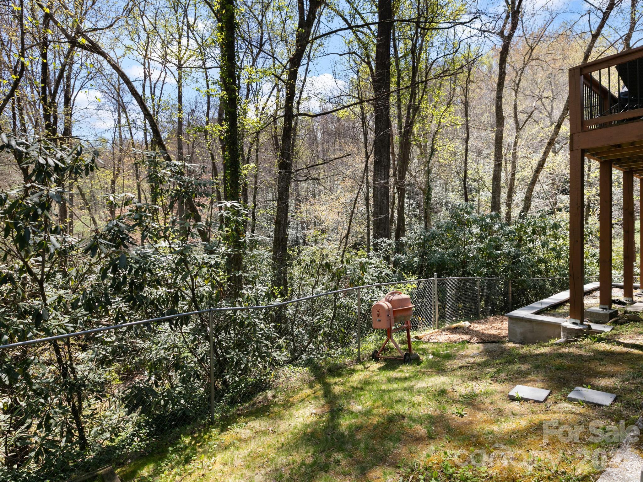 1 Laurel Forest Drive Horse Shoe NC 28742
