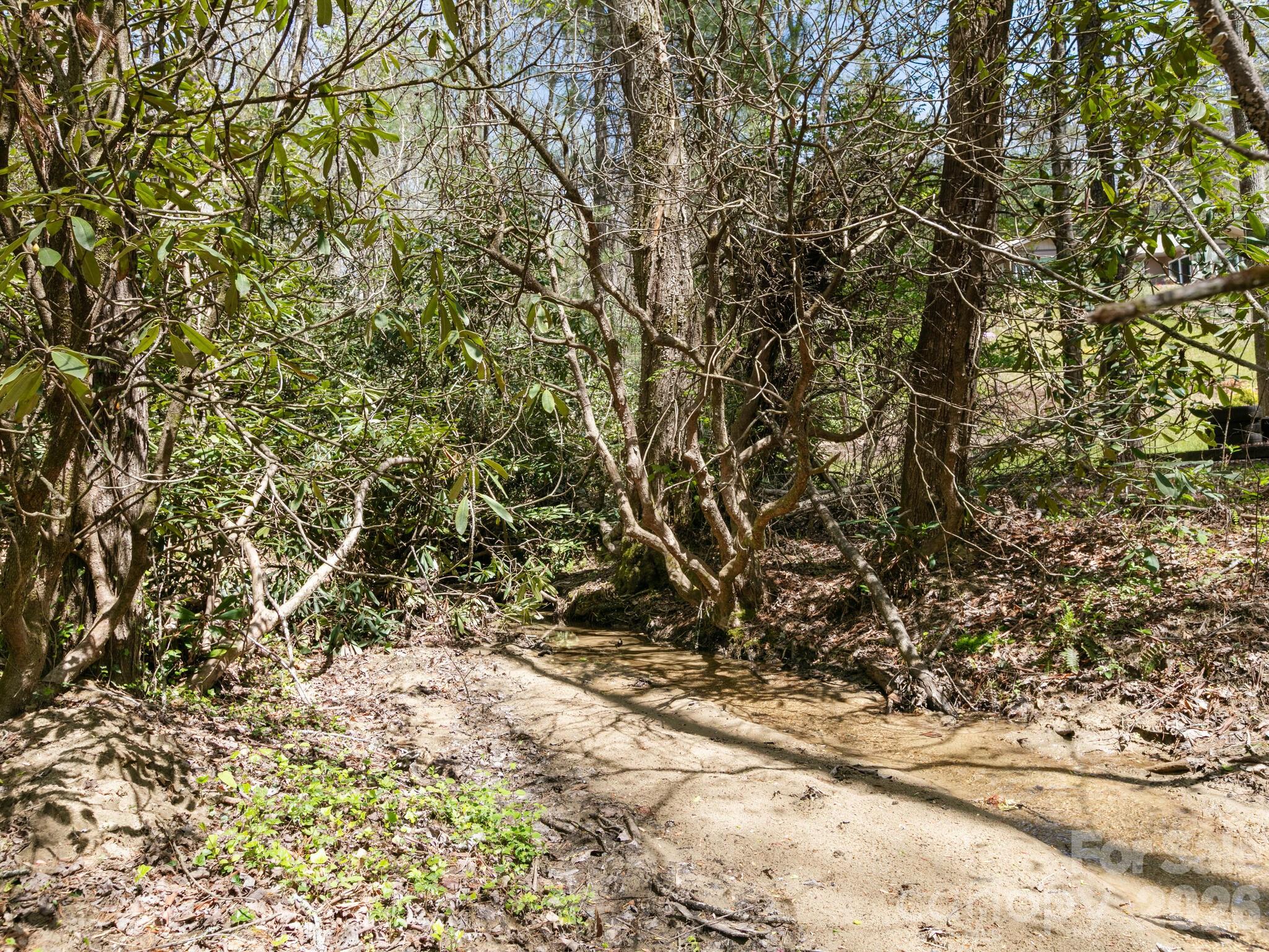 1 Laurel Forest Drive Horse Shoe NC 28742