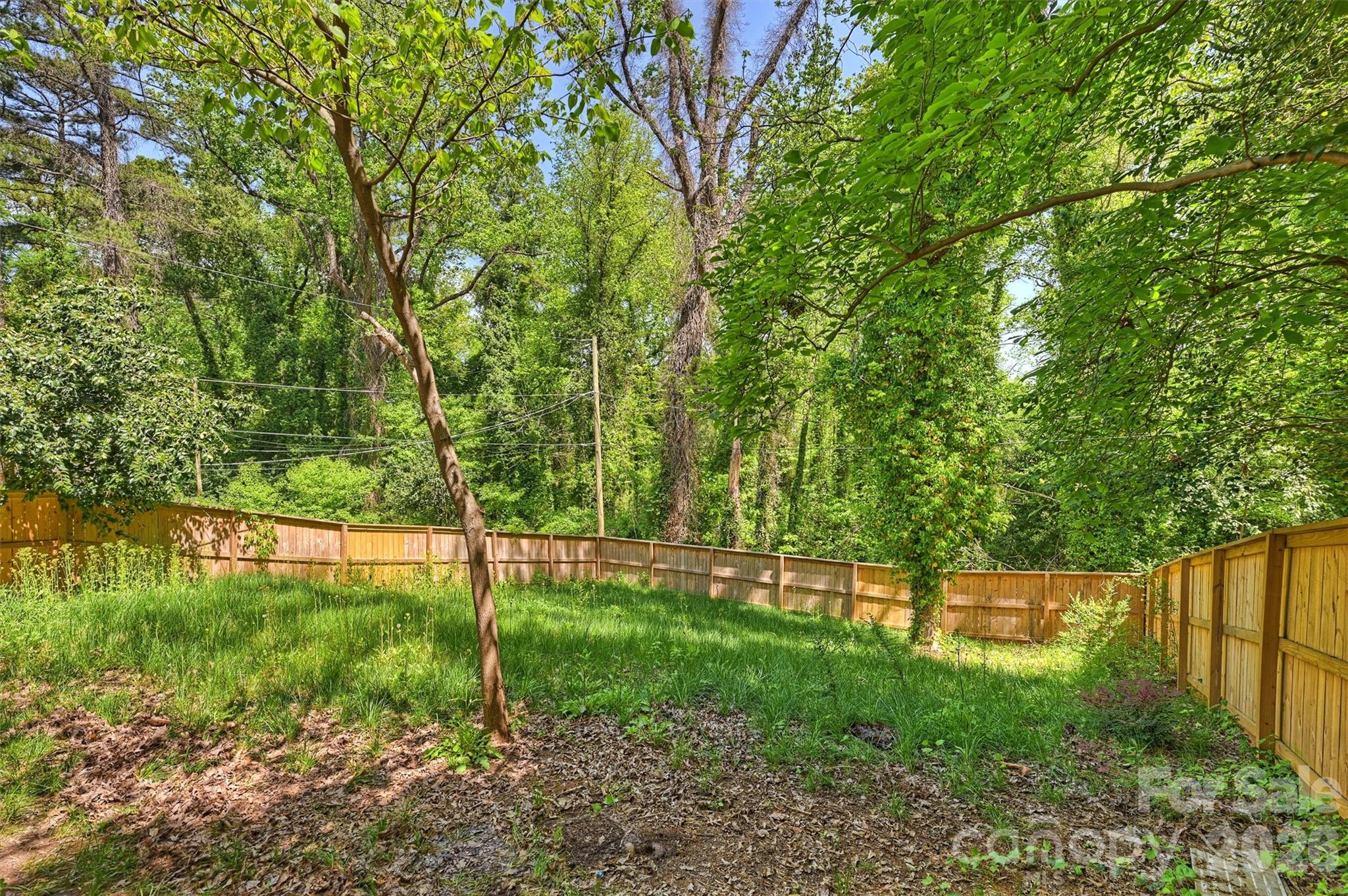 1104 Norris Avenue Charlotte NC 28206