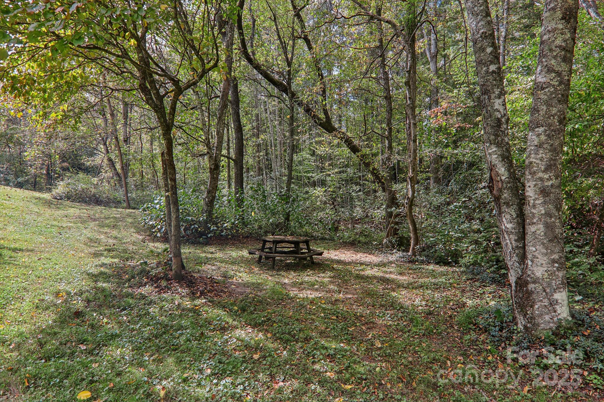 137 Last Resort Terrace Black Mountain NC 28711