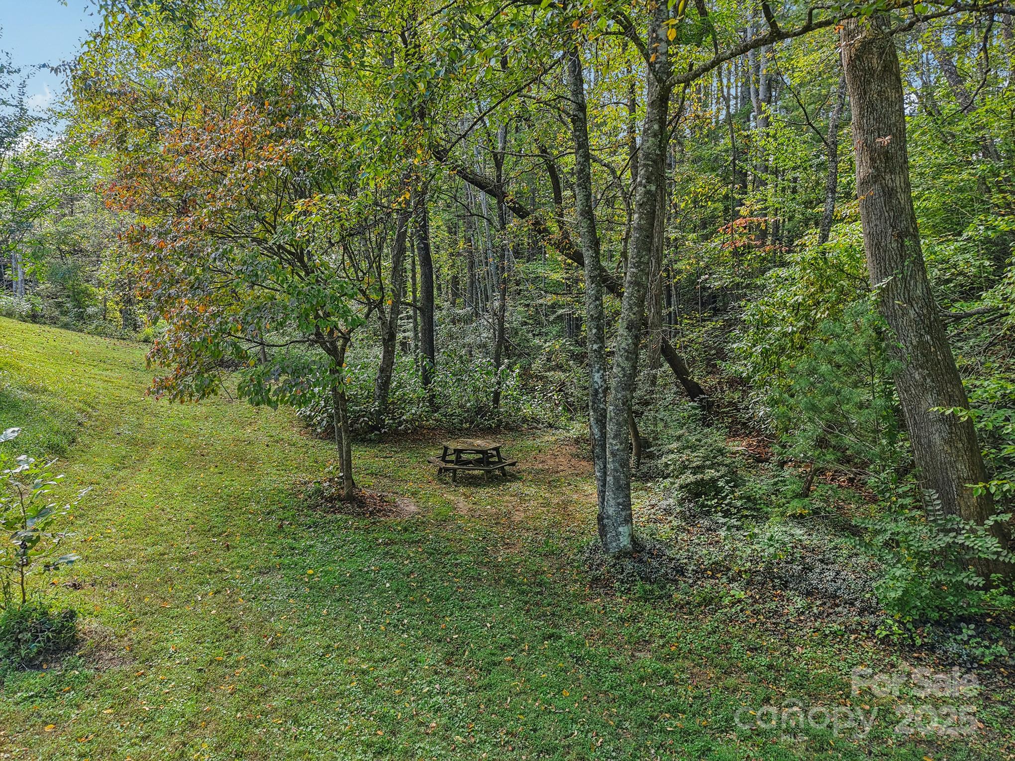 137 Last Resort Terrace Black Mountain NC 28711