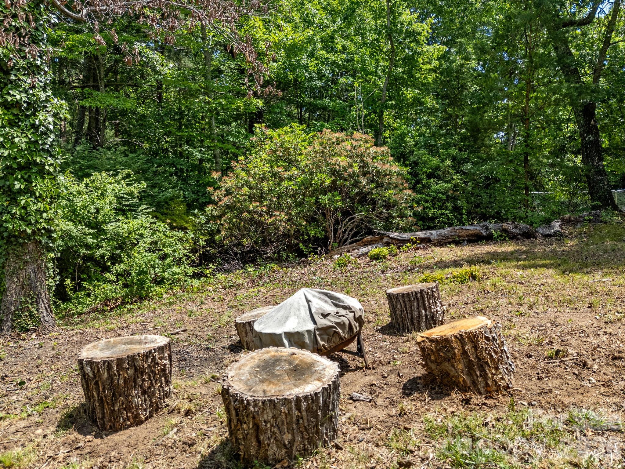 707 Dogwood Trail Tryon NC 28782