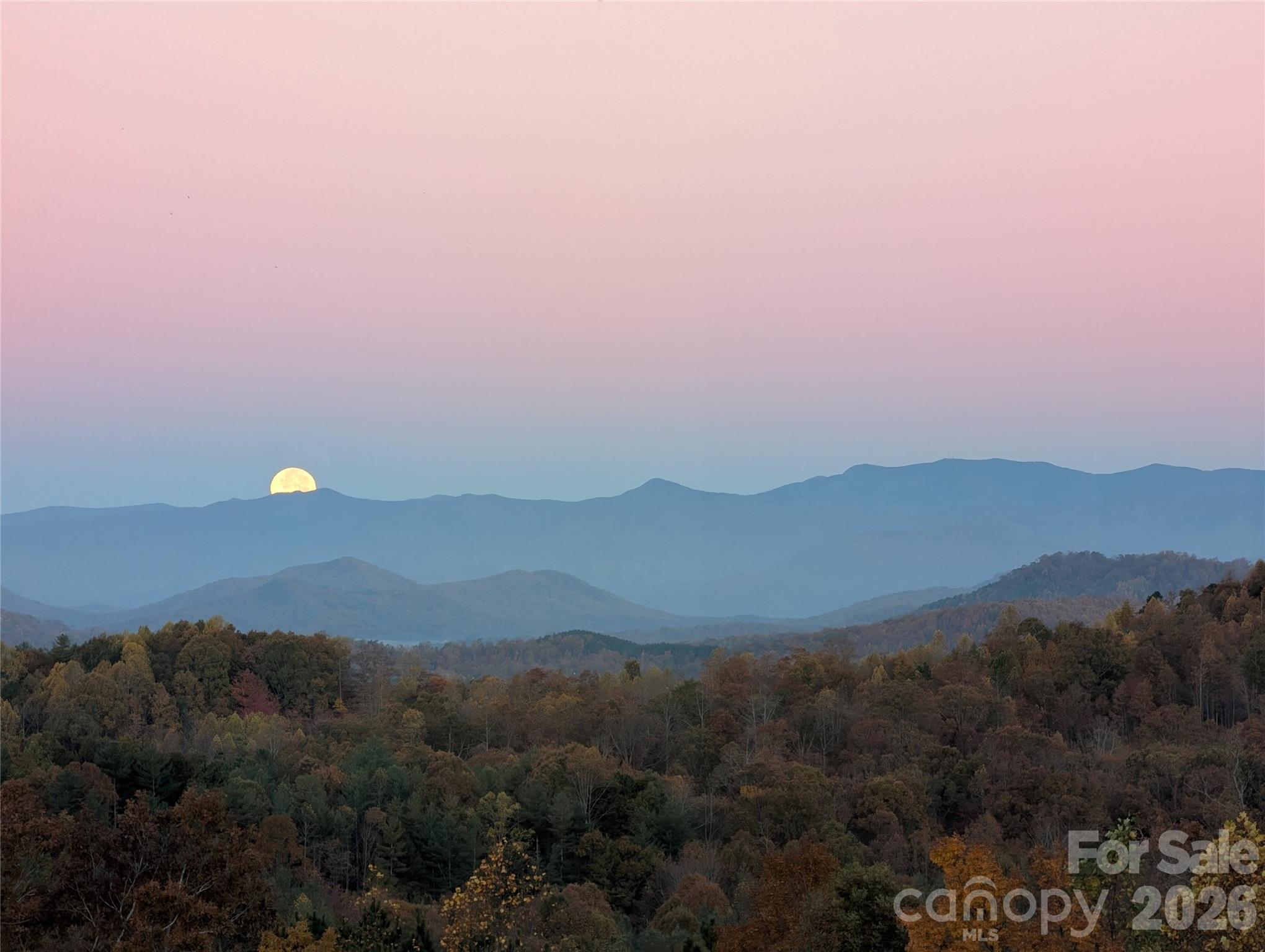 463 Summit Trail Nebo NC 28761
