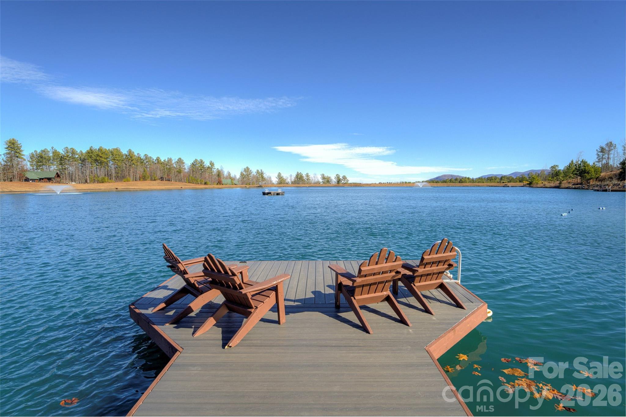 463 Summit Trail Nebo NC 28761