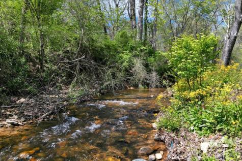 17 Resada Drive Brevard NC 28712