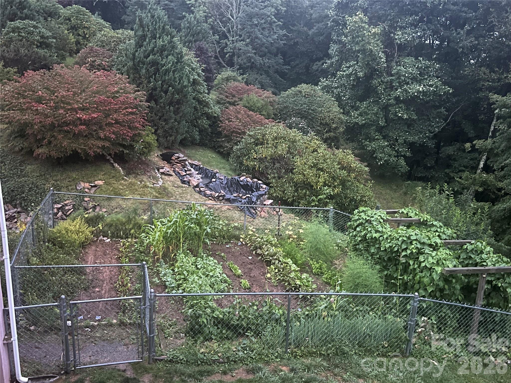 2778 Mule Stomp Road Hot Springs NC 28721