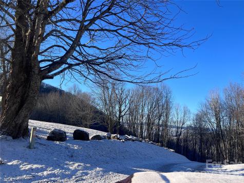 2778 Mule Stomp Road Hot Springs NC 28721