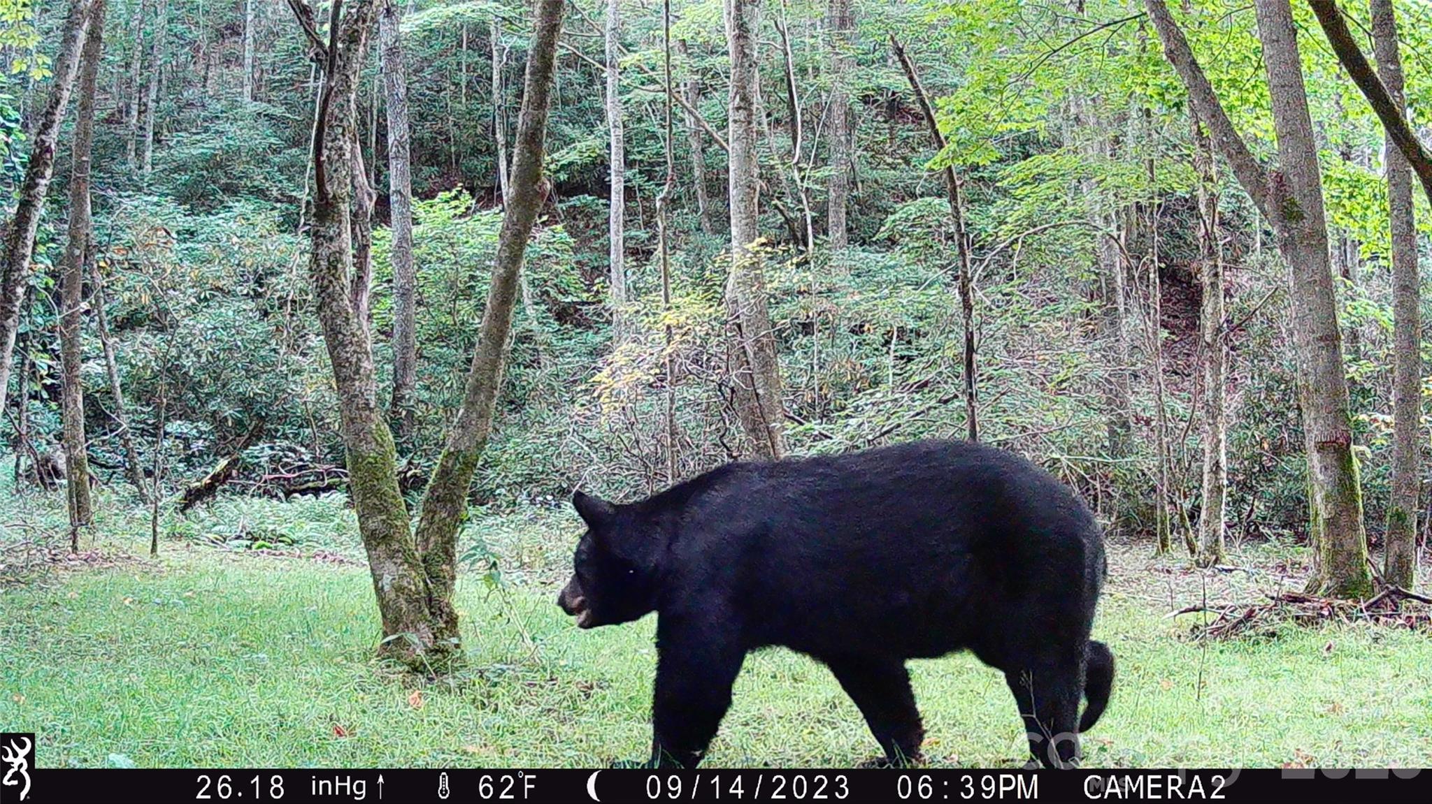 2778 Mule Stomp Road Hot Springs NC 28721