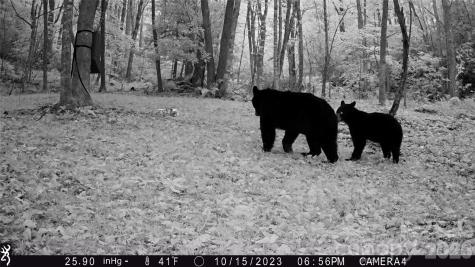 2778 Mule Stomp Road Hot Springs NC 28721