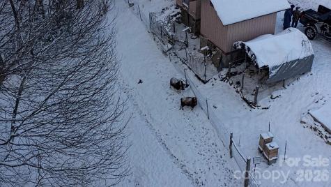 2778 Mule Stomp Road Hot Springs NC 28721