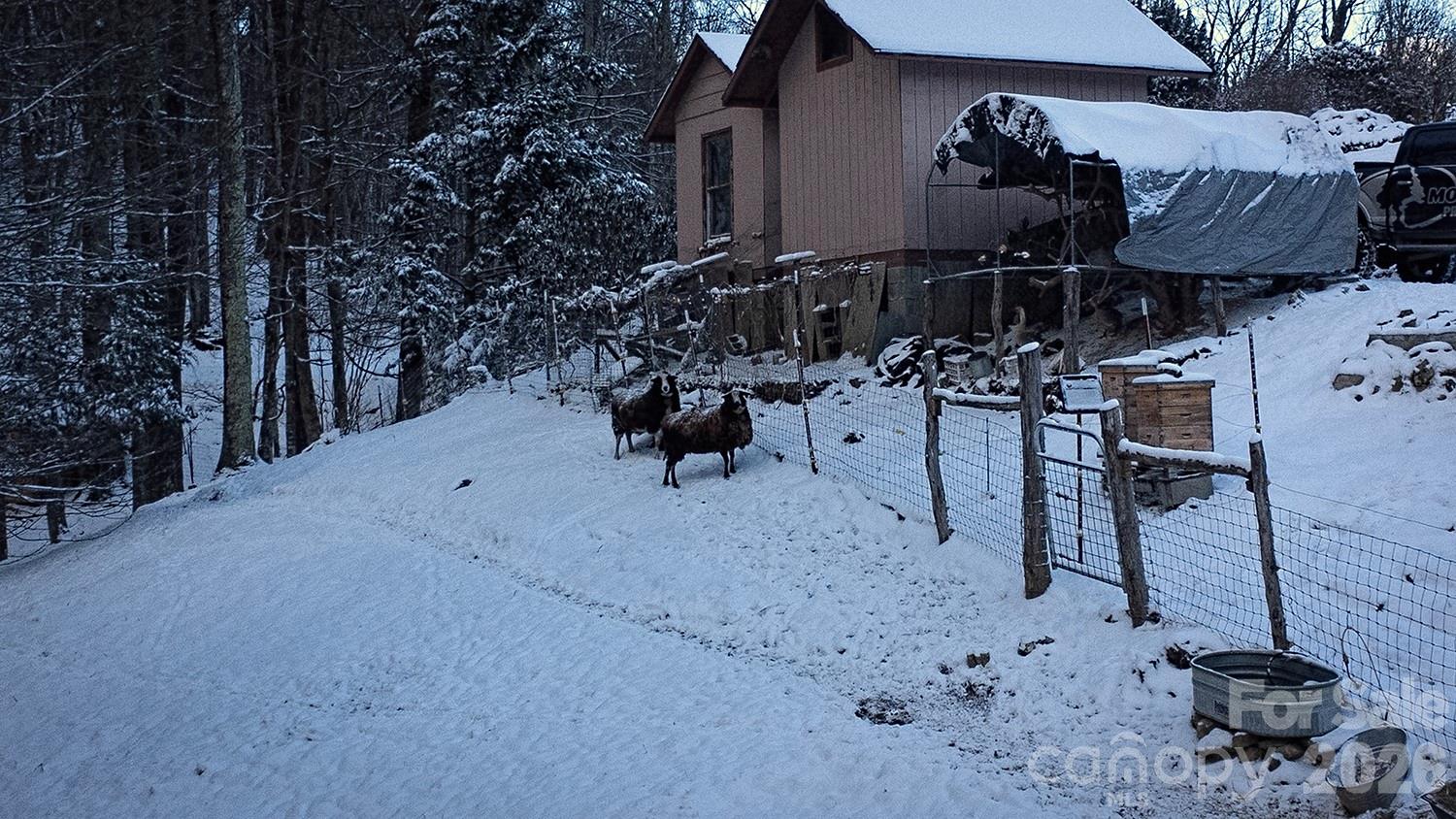 2778 Mule Stomp Road Hot Springs NC 28721