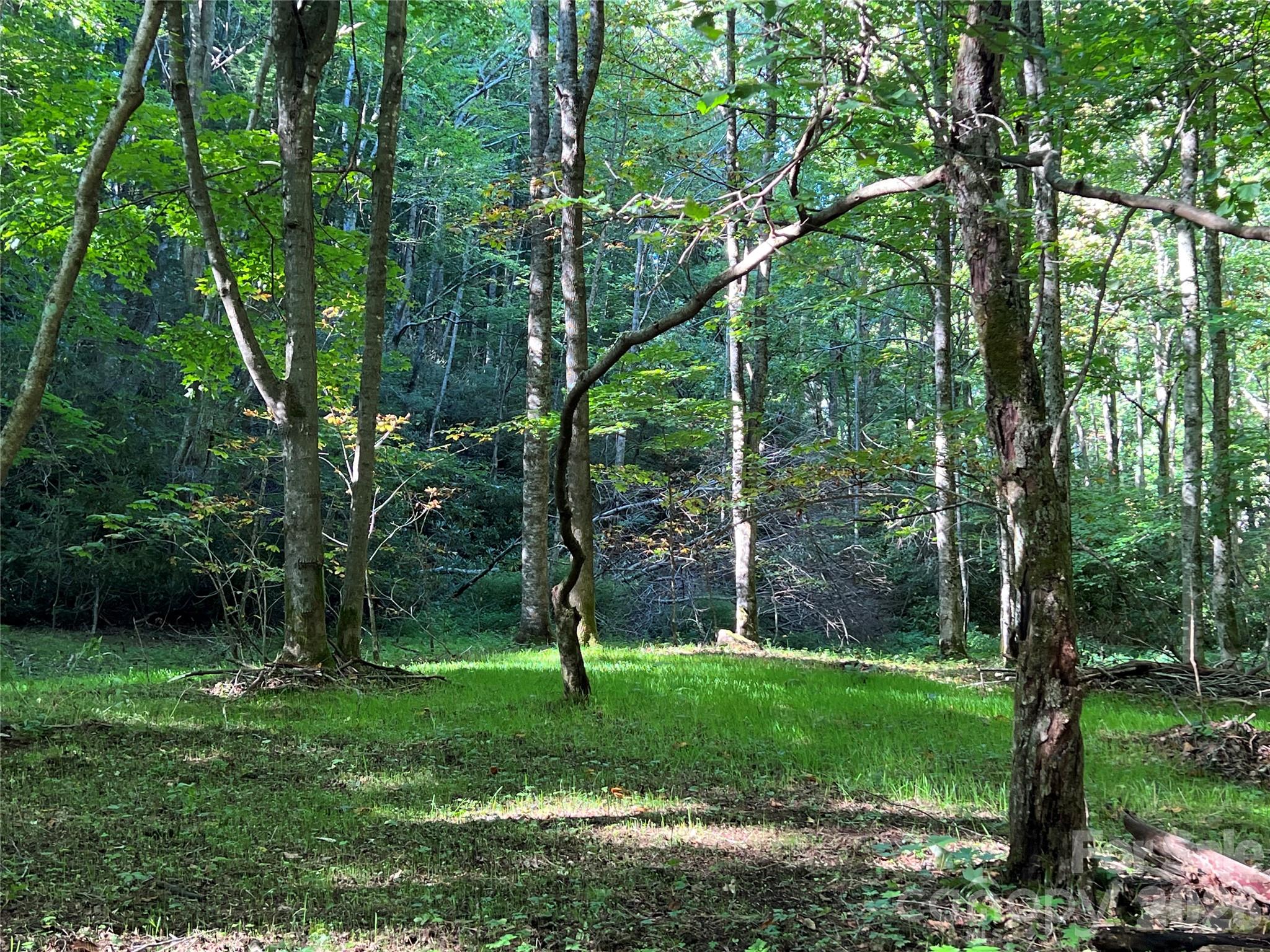 2778 Mule Stomp Road Hot Springs NC 28721