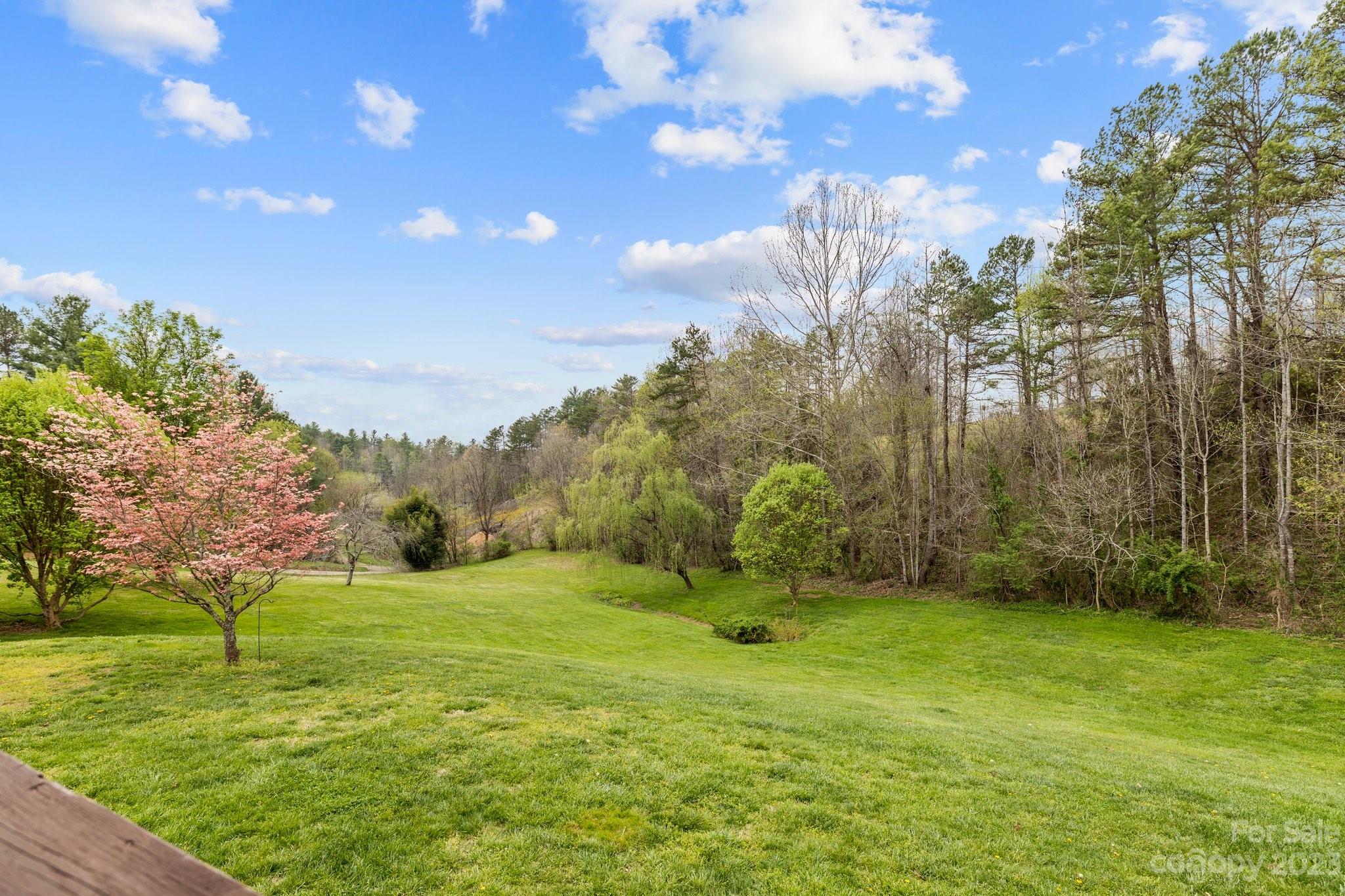 60 Anna Glenn Lane Weaverville NC 28787