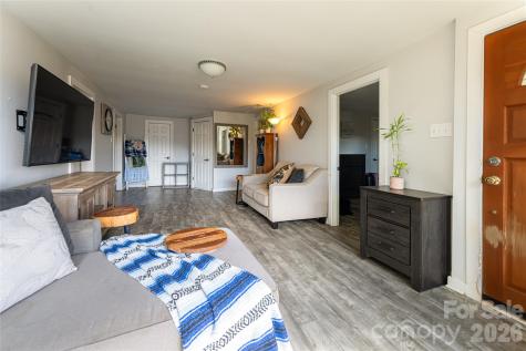 203 Pine Street Candler NC 28715