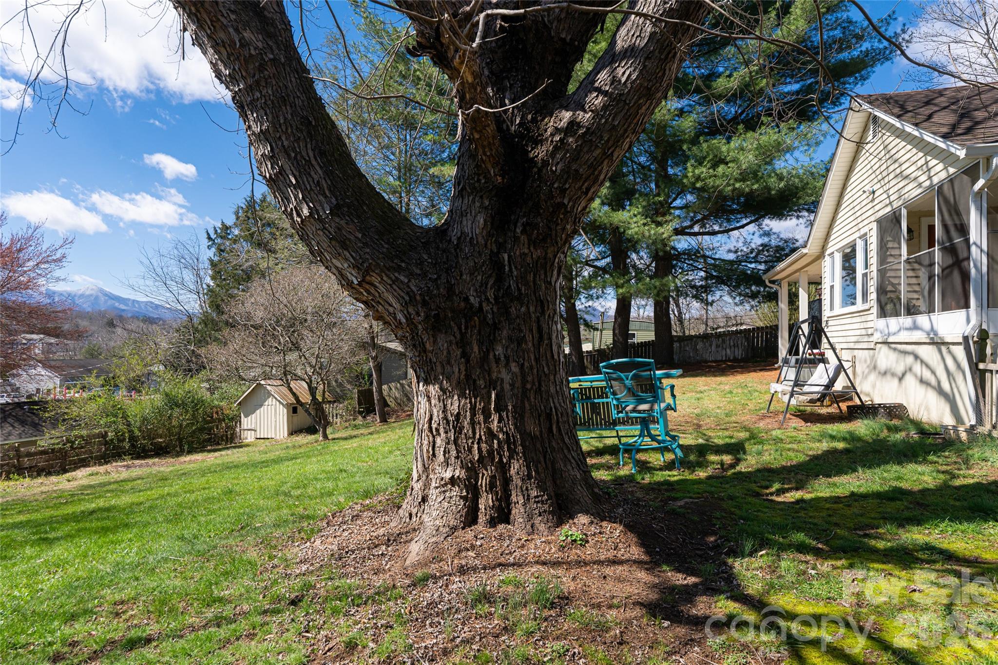 203 Pine Street Candler NC 28715