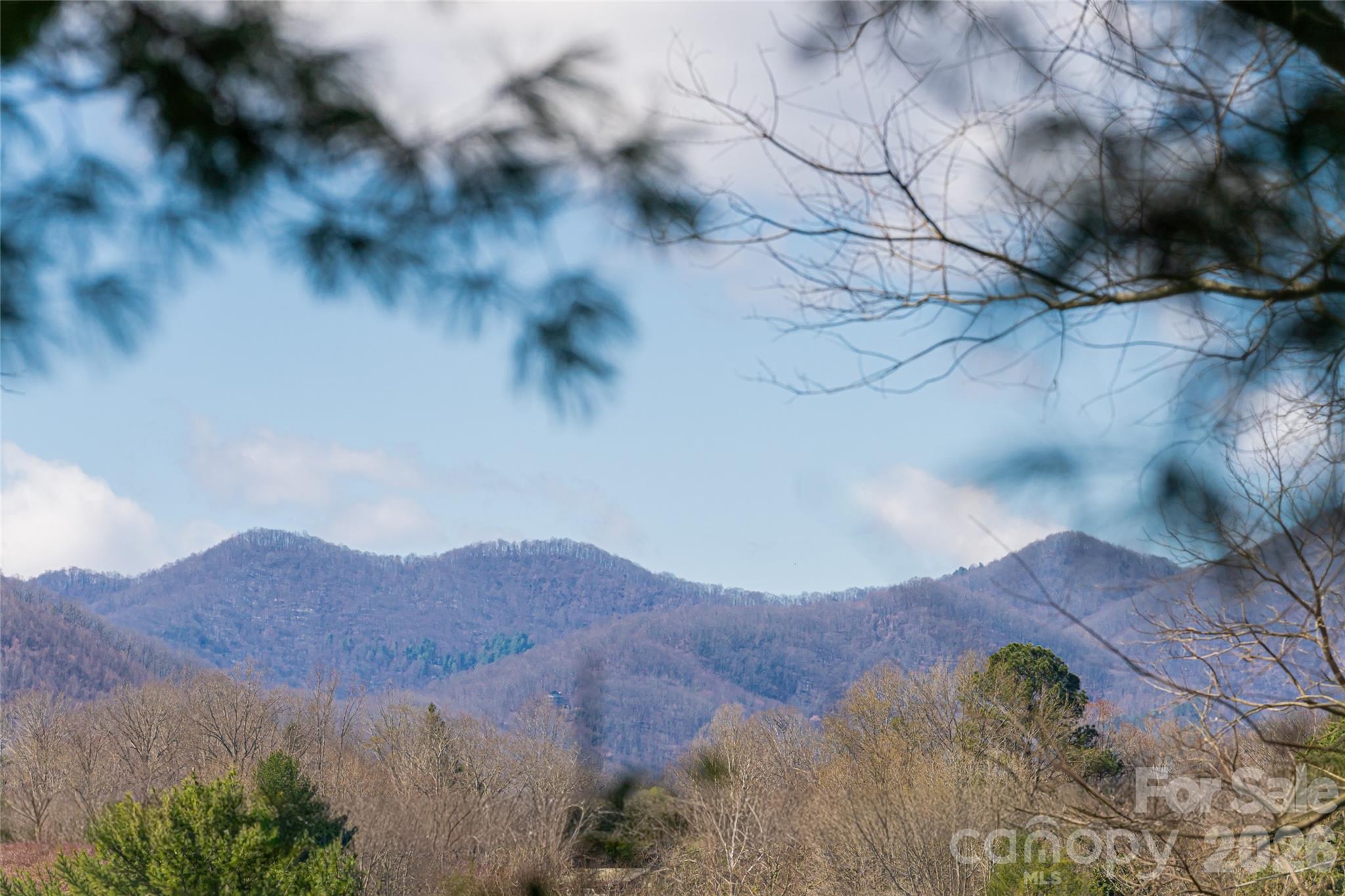 203 Pine Street Candler NC 28715
