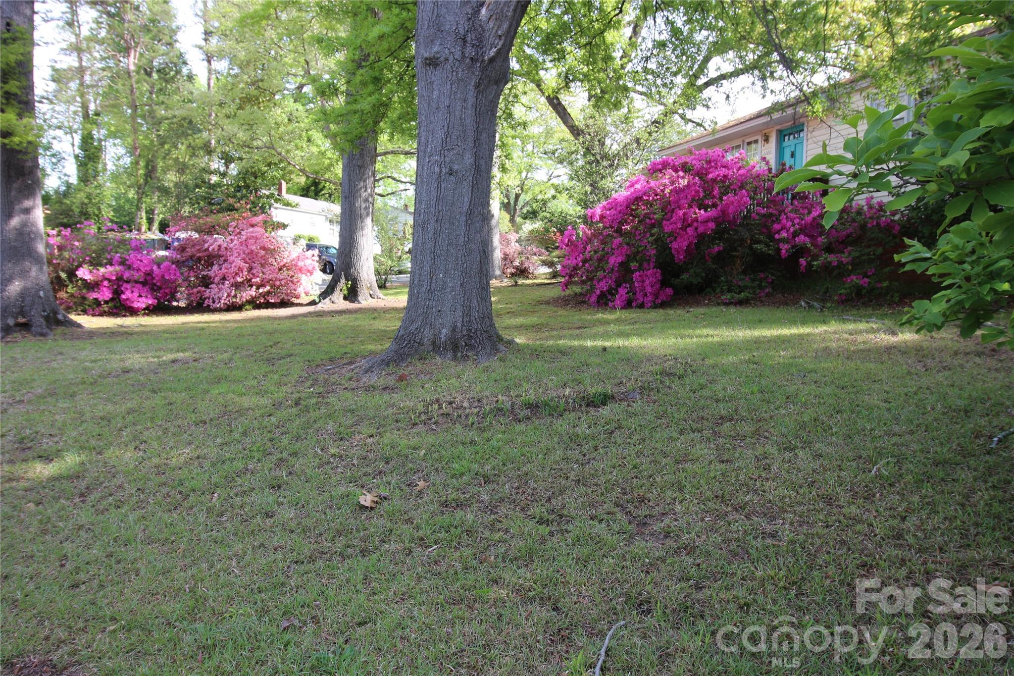 3300 Maywood Drive Charlotte NC 28205