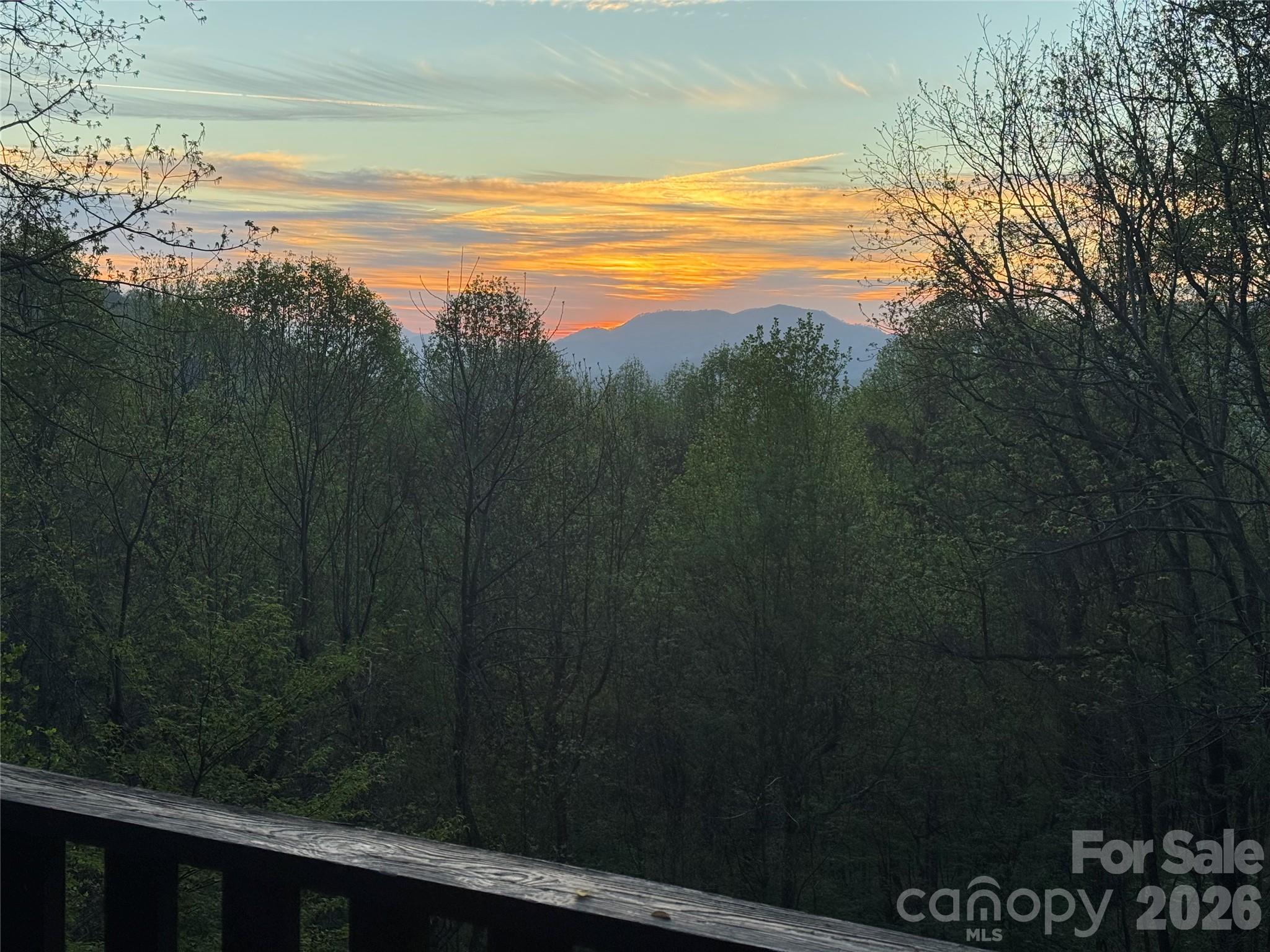 1618 Walnut Creek Road Waynesville NC 28786