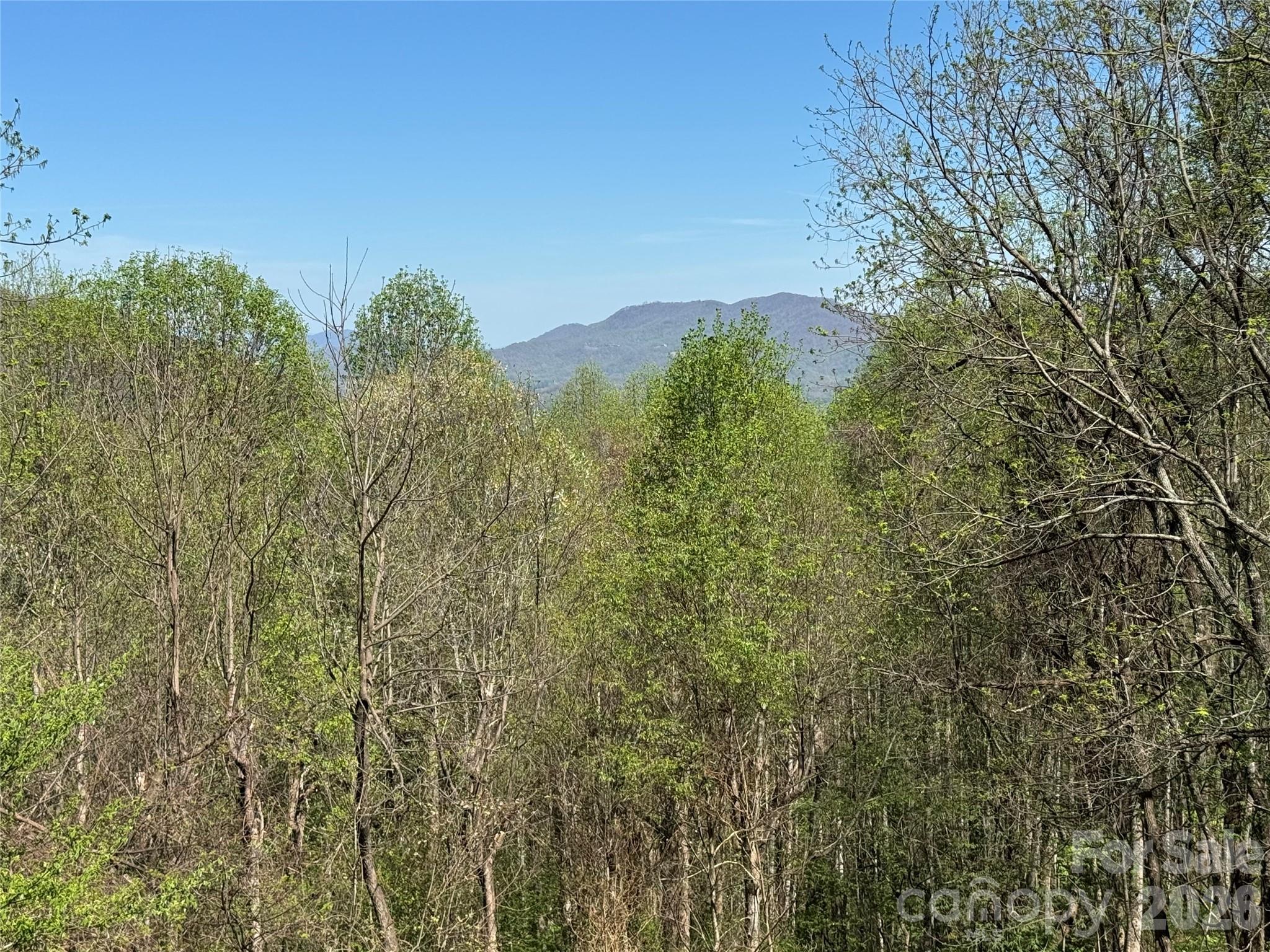 1618 Walnut Creek Road Waynesville NC 28786